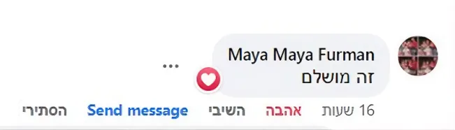ביקורת 4